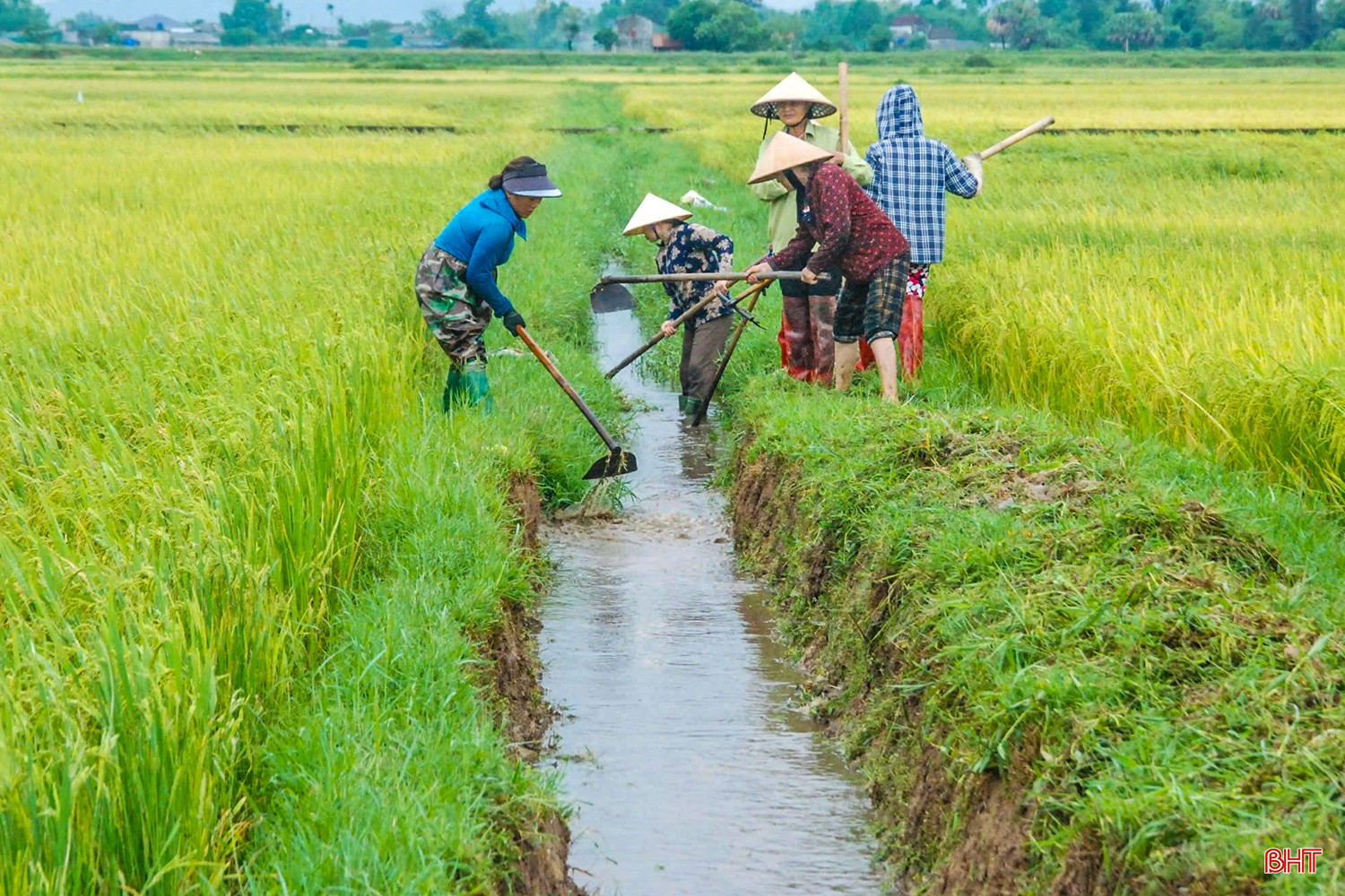 Bà con nông dân thôn Trung Phú, xã Thạch Thắng (TP Hà Tĩnh) nhanh chóng ra đồng để khơi thông dòng chảy, hạn chế thấp nhất thiệt hại. Bà con nông dân thôn Trung Phú, xã Thạch Thắng (TP Hà Tĩnh) nhanh chóng ra đồng để khơi thông dòng chảy, hạn chế thấp nhất thiệt hại.