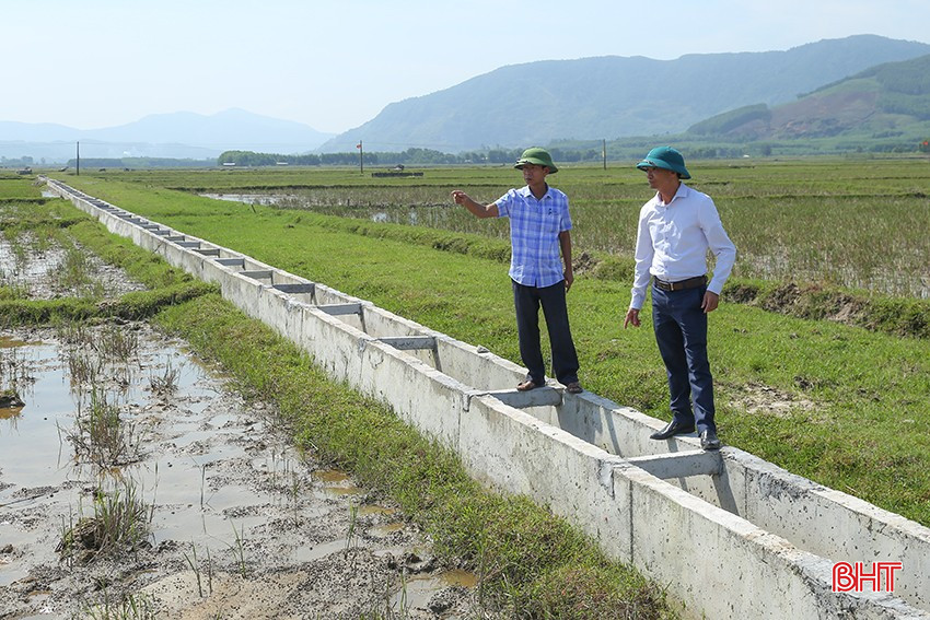 Localities regularly pay attention to mobilizing resources to solidify the system of intra-field canals and irrigation canals to serve rice production. bqbht_br_img-9957.jpg