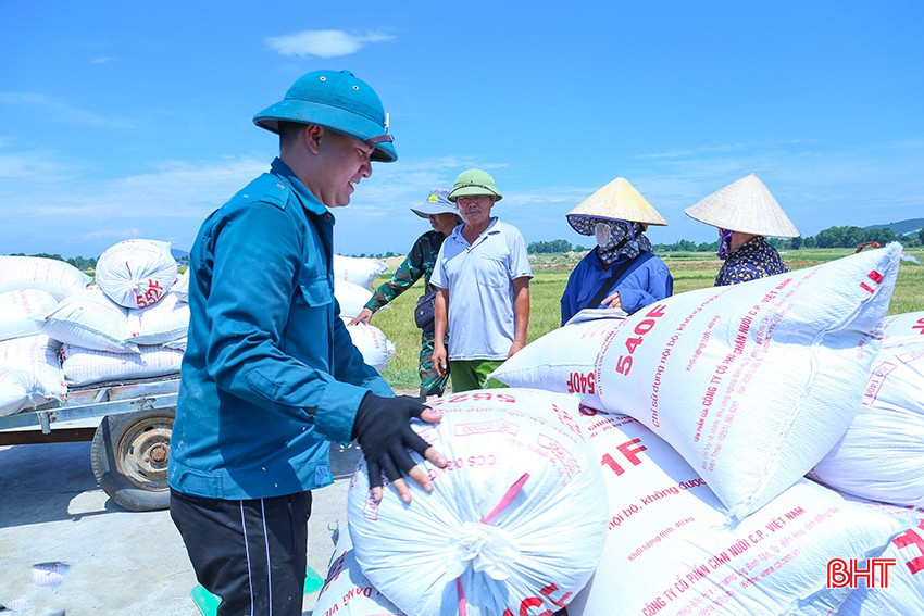Theo khuyến cáo của ngành chuyên môn, bà con nông dân cần tìm hiểu thị trường, làm việc rõ với các bên thu mua để tránh bị ép giá. bqbht_br_img-3377.jpg