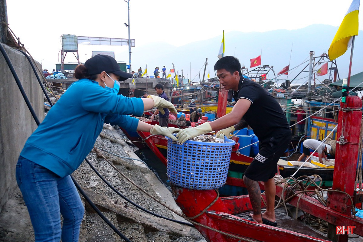 Các chủ tàu nhanh chóng vận chuyển hải sản lên bờ để kịp bán cho thương lái. bqbht_br_img-1369.jpg