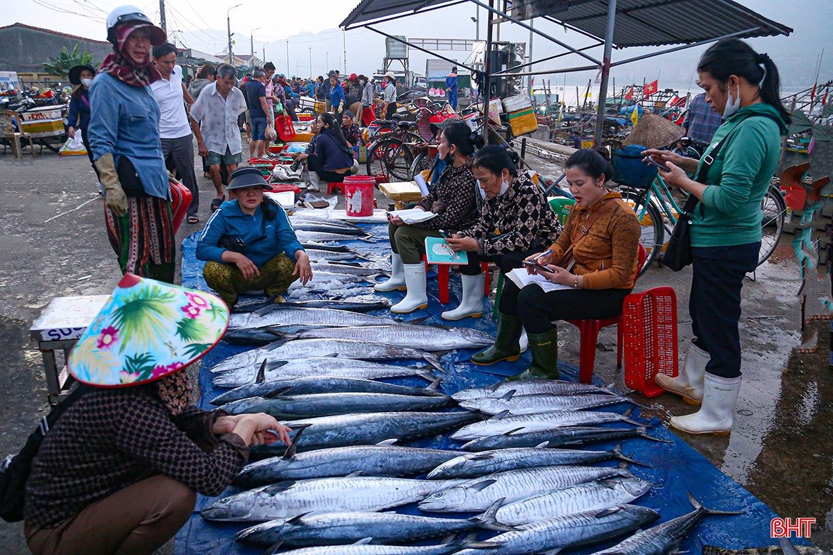 Ông Thân Quốc Tế - Phó Giám đốc Ban Quản lý các cảng cá và khu neo đậu tránh trú bão tàu cá Hà Tĩnh cho biết: “Dịp lễ năm nay kéo dài, thời tiết thuận lợi, nhu cầu tiêu thụ hải sản tăng mạnh nên bà con ngư dân tích cực ra khơi. Mỗi ngày có khoảng 50 - 60 lượt tàu thuyền xuất - nhập cảng, chủ yếu là tàu nội tỉnh đánh bắt ở vùng lộng, ven bờ, cung ứng lượng hải sản tương đối dồi dào”. bqbht_br_img-1330.jpg