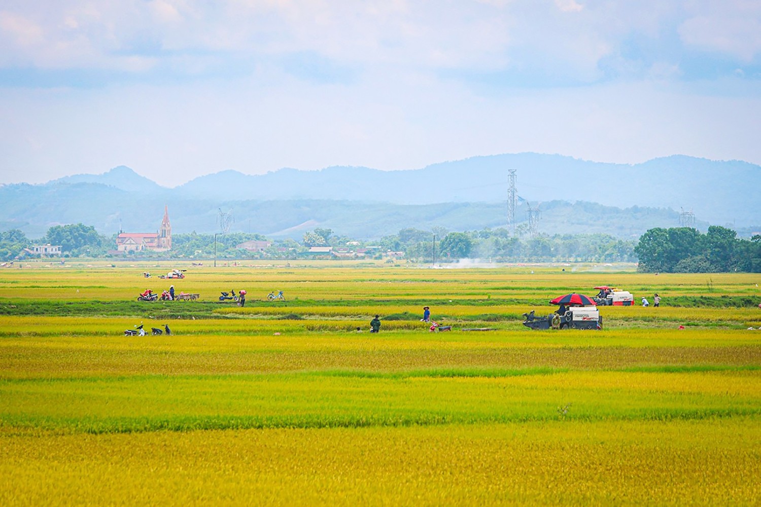 រូបភាព-88.jpg