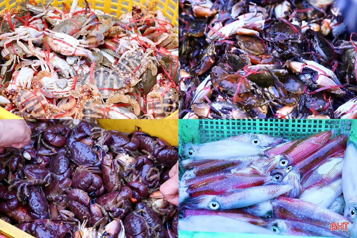 Theo thông tin từ các tiểu thương, dịp nghỉ lễ, giá các loại hải sản "nhích" lên khoảng 10 - 15% so với ngày thường khiến hoạt động mua bán tại cảng thêm sôi động. Ghẹ tươi có giá tới 400.000 đồng/kg, tôm tít dao động từ 200.000 - 250.000 đồng/kg, mực 350.000 - 400.000 đồng/kg, tôm biển từ 300.000 - 420.000 đồng/kg tùy loại, cá thu giữ giá ổn định ở mức 200.000 - 220.000 đồng/kg,... bqbht_br_z6555409535269-155c5b814a7b02b77eb88652ec77ab7a.jpg