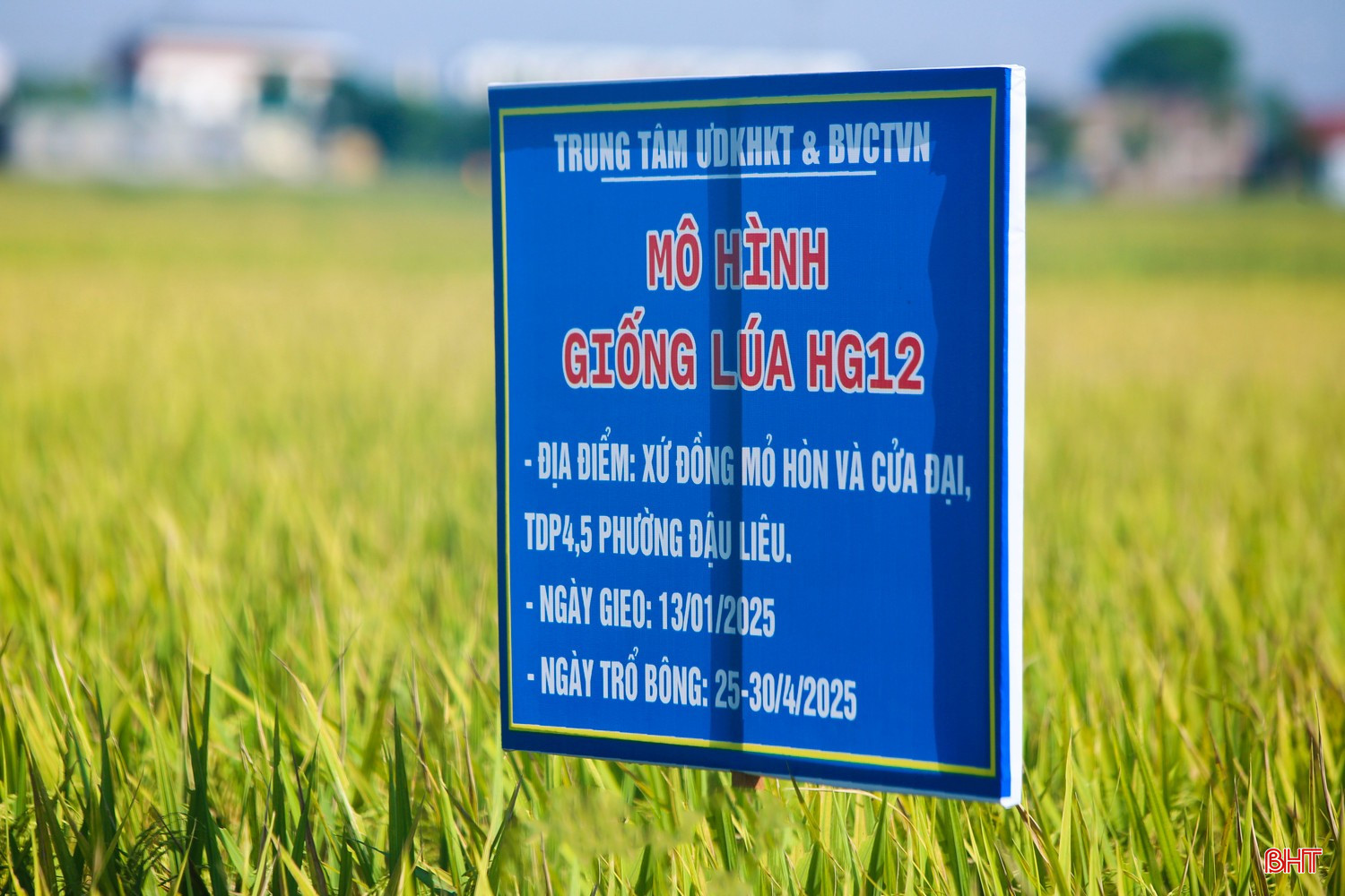 bqbht_br_16-3645-33.jpg