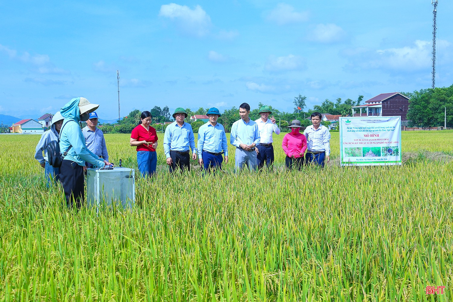 Áp dụng công nghệ tưới khô - ướt xen kẽ trong canh tác lúa giảm phát thải. bqbht_br_img-1765.jpg