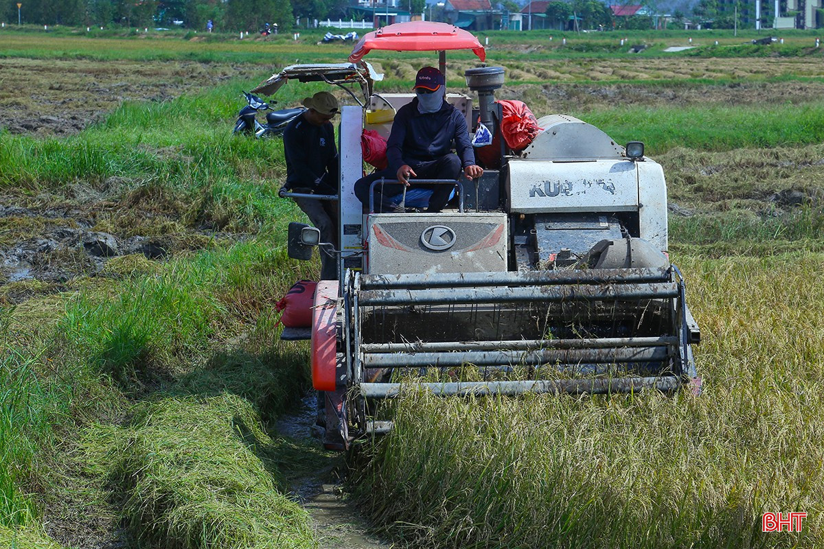 Máy gặt hoạt động hết công suất trên cánh đồng tập trung của thôn Xuân Thủy (xã Can Lộc). bqbht_br_img-9958.jpg