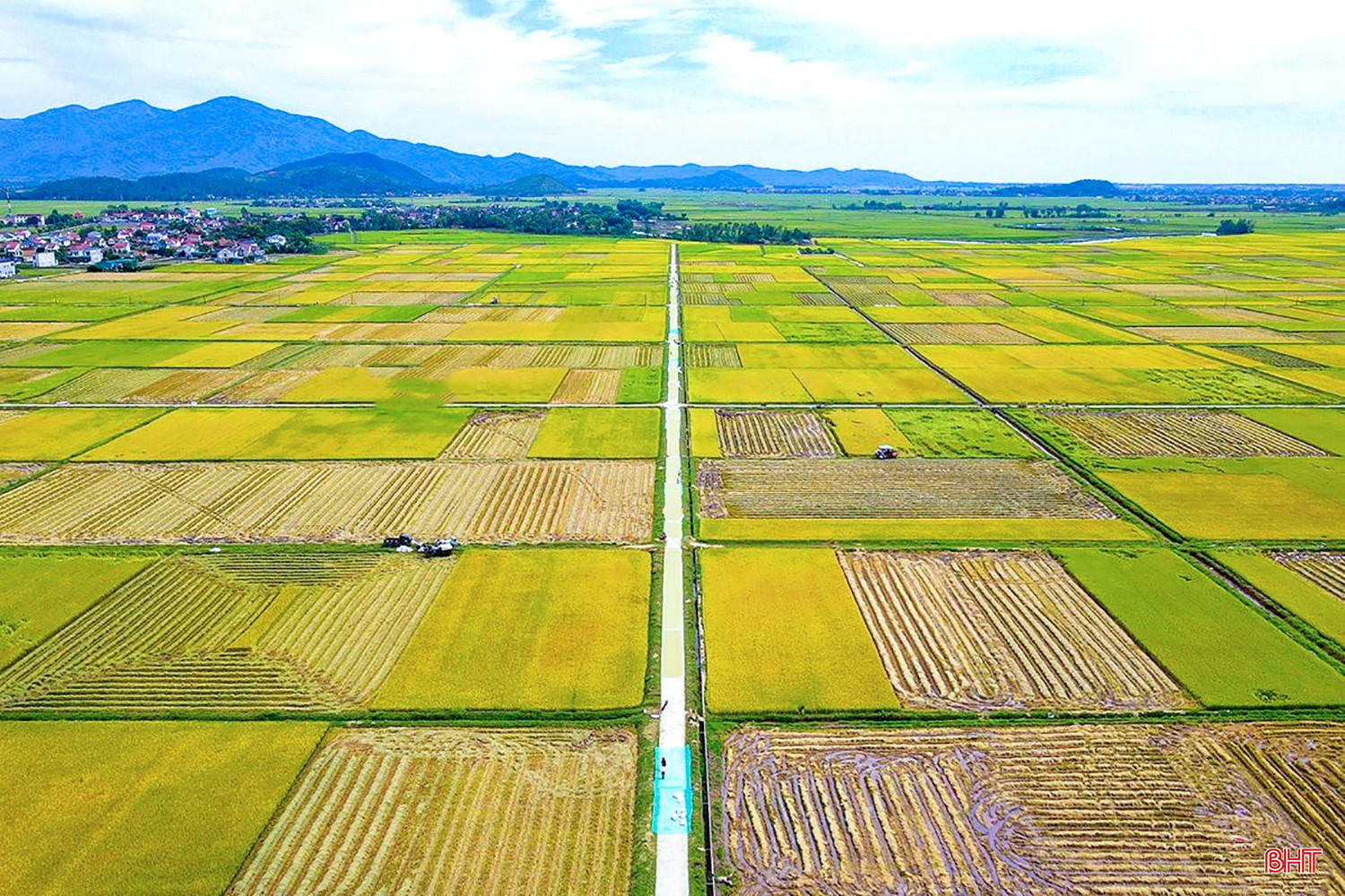 Cánh đồng thôn Nam Tân Dân (xã Tùng Lộc) vào mùa gặt như một công trường lớn, đường bê tông rộng 5 - 7 m tạo điều kiện để bà con vận chuyển lúa thuận lợi. bqbht_br_image-55-3669.jpg