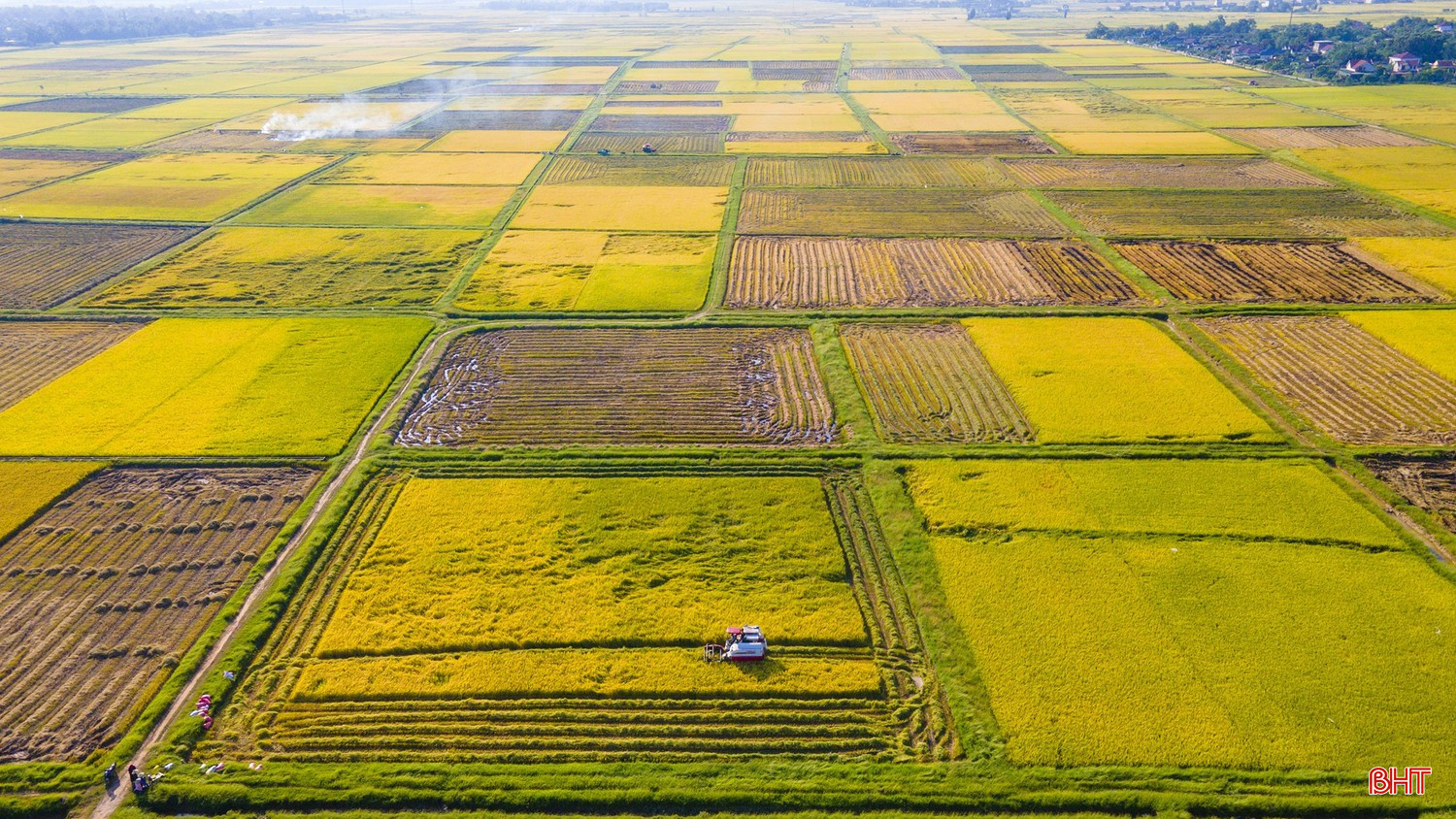 Hơn 400 ha đất nông nghiệp đã được chuyển đổi, tạo nên những vùng sản xuất quy mô 30 - 60 ha tại xã Thiên Cầm. bqbht_br_image-44.jpg