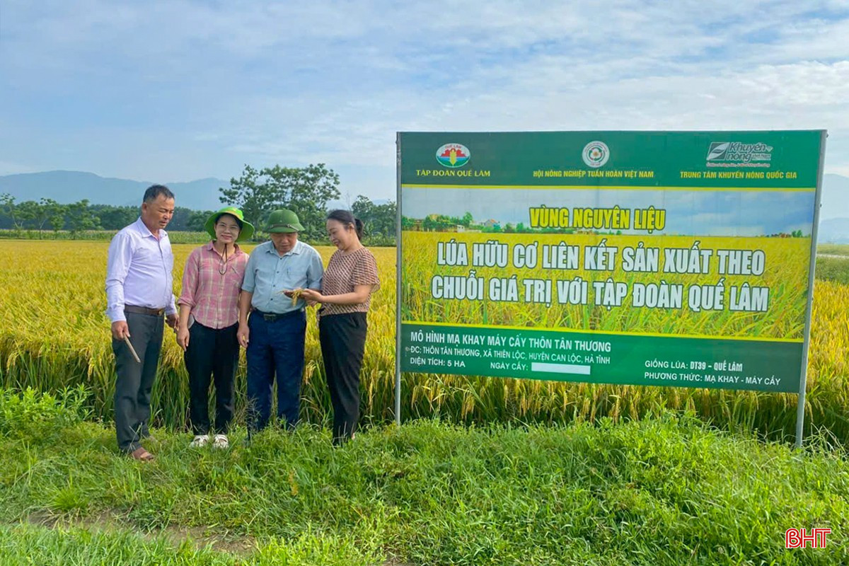 Many production models on land conversion areas in association with Que Lam Group Joint Stock Company have been implemented in Ha Tinh. bqbht_br_z6630101901158-0761b9718f3ae5f18e57aac7bb4cf5cb.jpg