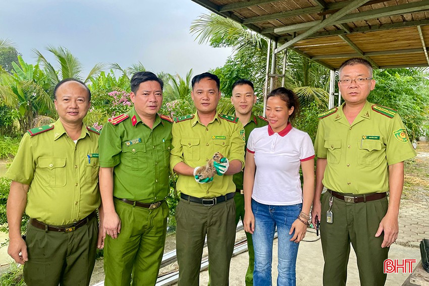 ក្រុមគ្រួសាររបស់លោកស្រី Phuong Hoa បានប្រគល់នំបញ្ចុកឲ្យអាជ្ញាធរ។ bqbht_br_z6631670707407-2b1321f8db02d6acd46ed037db21933c.jpg