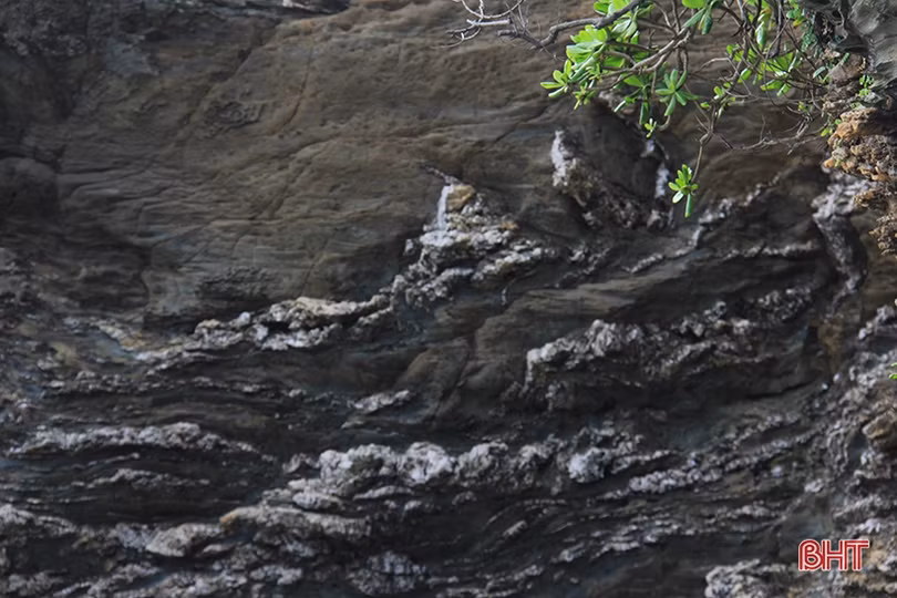 Vẻ đẹp vào xuân của “viên ngọc bích” trên vùng biển phía Nam Hà Tĩnh