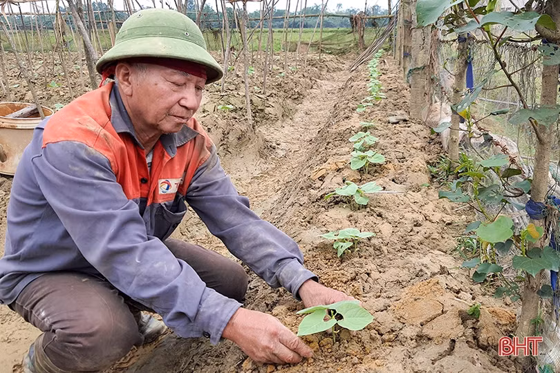 Chuyện những đảng viên đi trước ở Hà Tĩnh