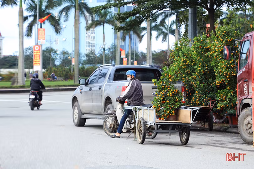 Nghề “chở tết về nhà” tại Hà Tĩnh kiếm tiền triệu mỗi ngày