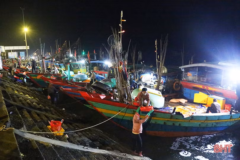 Những chuyến tàu cuối năm cập cảng Cửa Sót đầy ắp hải sản