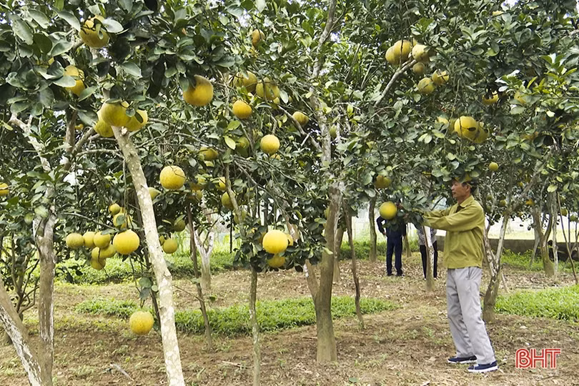 Ý Đảng - lòng dân trên quê hương Tổng Bí thư Trần Phú