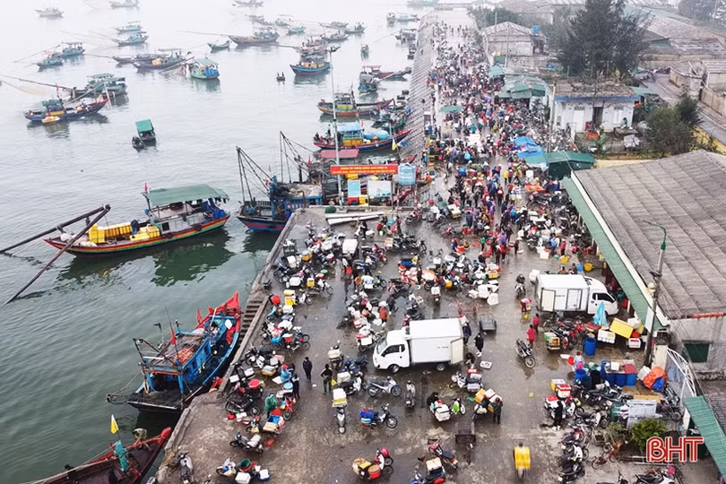 Những chuyến tàu cuối năm cập cảng Cửa Sót đầy ắp hải sản