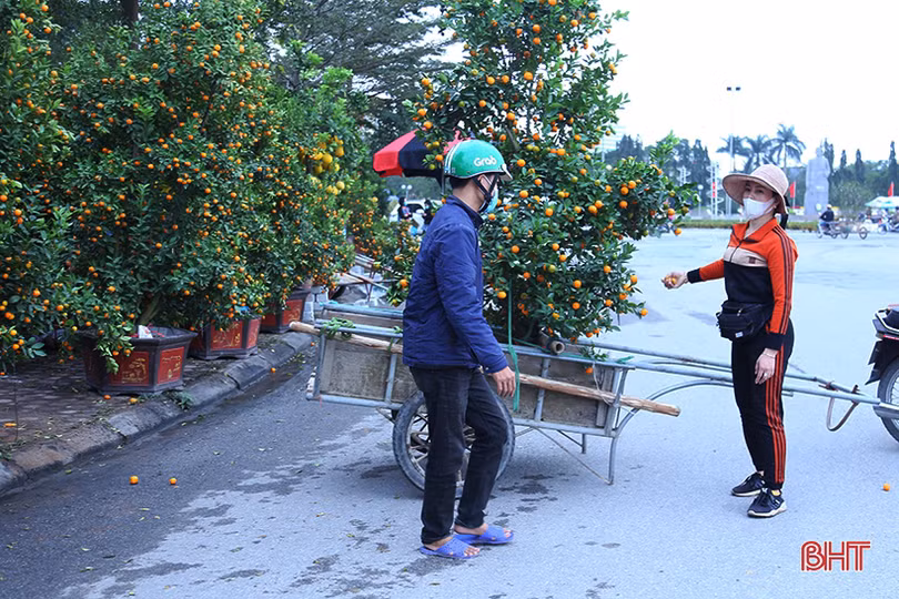 Nghề “chở tết về nhà” tại Hà Tĩnh kiếm tiền triệu mỗi ngày