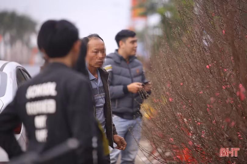 Đi “chợ” cây cảnh, nhiều người dân Hà Tĩnh vẫn không đeo khẩu trang