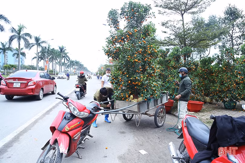Nghề “chở tết về nhà” tại Hà Tĩnh kiếm tiền triệu mỗi ngày