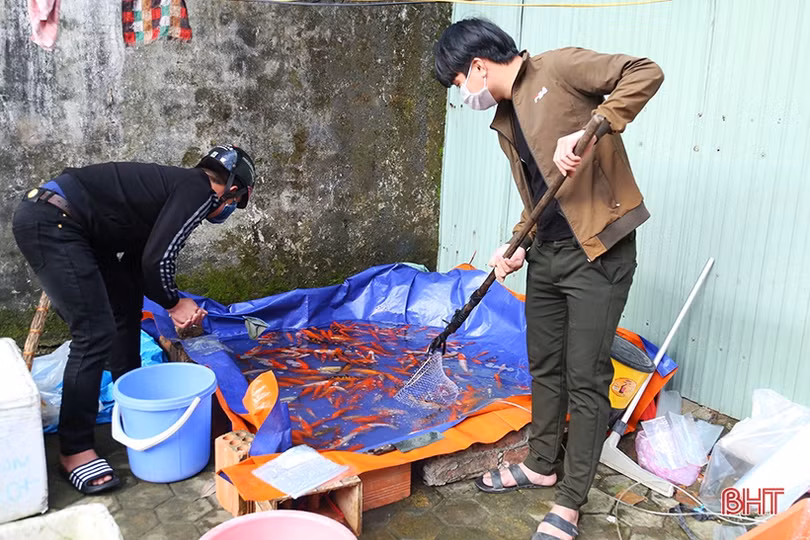 Người dân Hà Tĩnh tất bật sắm lễ “tiễn” ông Công, ông Táo chầu trời