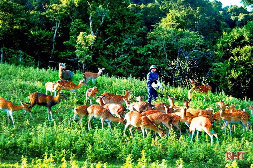 Hương Sơn non nước hữu tình