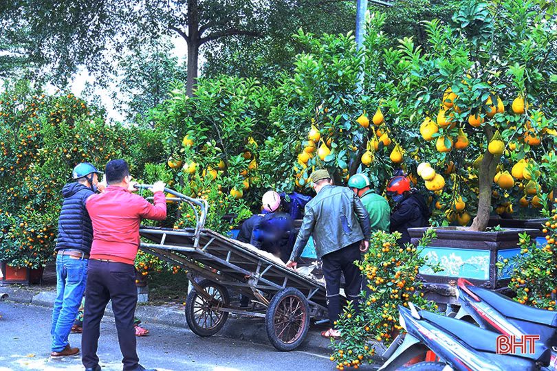 Nghề “chở tết về nhà” tại Hà Tĩnh kiếm tiền triệu mỗi ngày