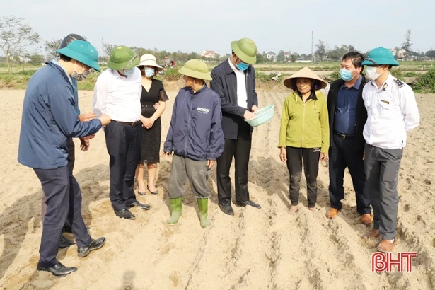 Tiểu thương Nghi Xuân chấp hành nghiêm pháp luật kinh doanh