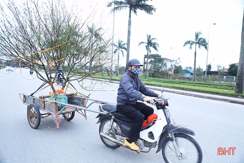 Nghề “chở tết về nhà” tại Hà Tĩnh kiếm tiền triệu mỗi ngày