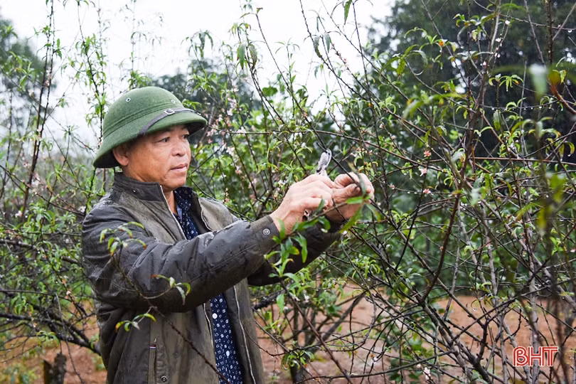 Sức mạnh lòng dân đưa Kỳ Anh tiến nhanh đến huyện nông thôn mới ảnh 3 Sức mạnh lòng dân đưa Kỳ Anh tiến nhanh đến huyện nông thôn mới