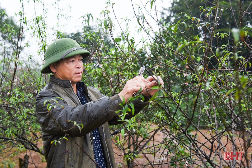 Sức mạnh lòng dân đưa Kỳ Anh tiến nhanh đến huyện nông thôn mới ảnh 3 Sức mạnh lòng dân đưa Kỳ Anh tiến nhanh đến huyện nông thôn mới