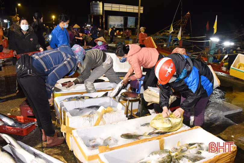 Quê biển Lộc Hà mỗi ngày lại sáng