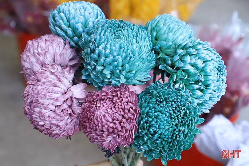 Muôn kiểu hoa lạ “đổ bộ” thị trường Hà Tĩnh