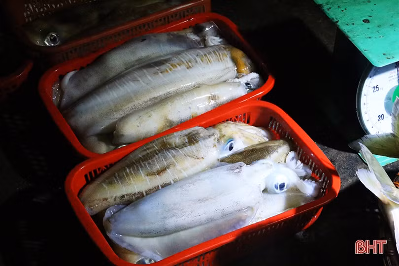 Những chuyến tàu cuối năm cập cảng Cửa Sót đầy ắp hải sản