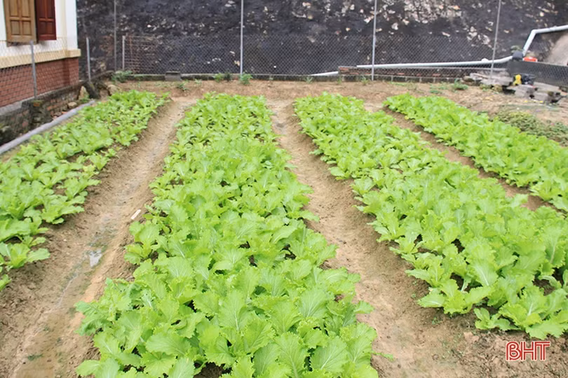 Vẻ đẹp vào xuân của “viên ngọc bích” trên vùng biển phía Nam Hà Tĩnh