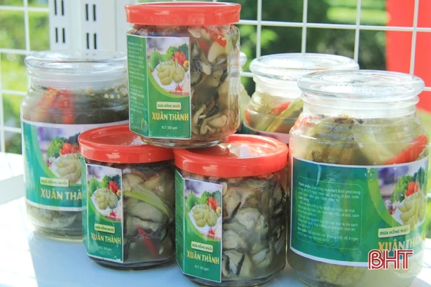 Quê hương Đại thi hào Nguyễn Du đưa nông thôn mới lên tầm cao 