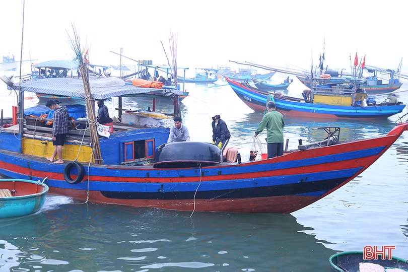 Những chuyến tàu cuối năm cập cảng Cửa Sót đầy ắp hải sản