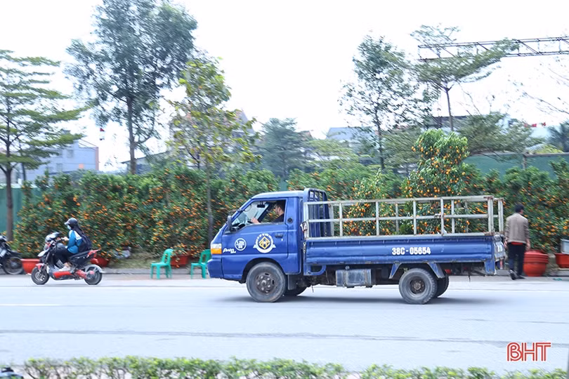 Nghề “chở tết về nhà” tại Hà Tĩnh kiếm tiền triệu mỗi ngày