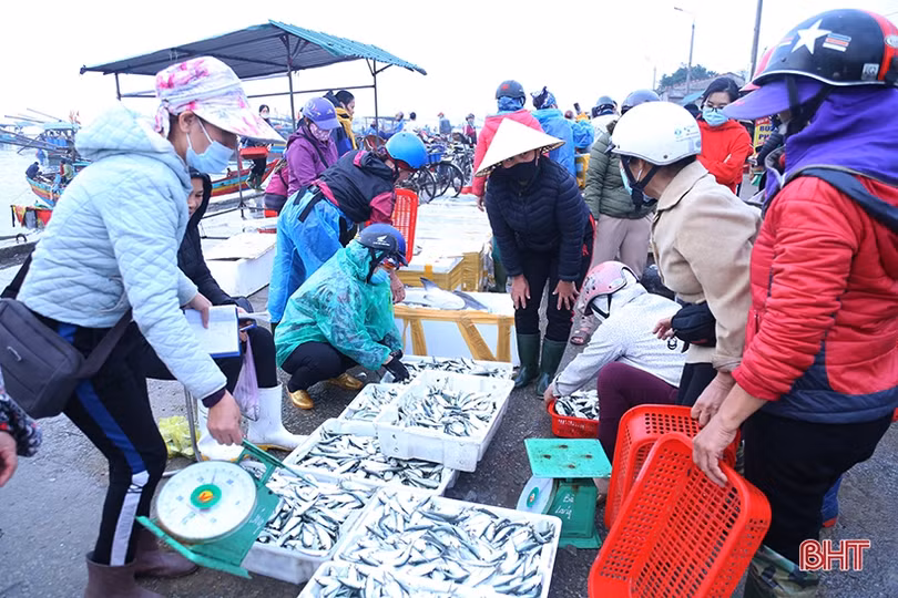 Những chuyến tàu cuối năm cập cảng Cửa Sót đầy ắp hải sản