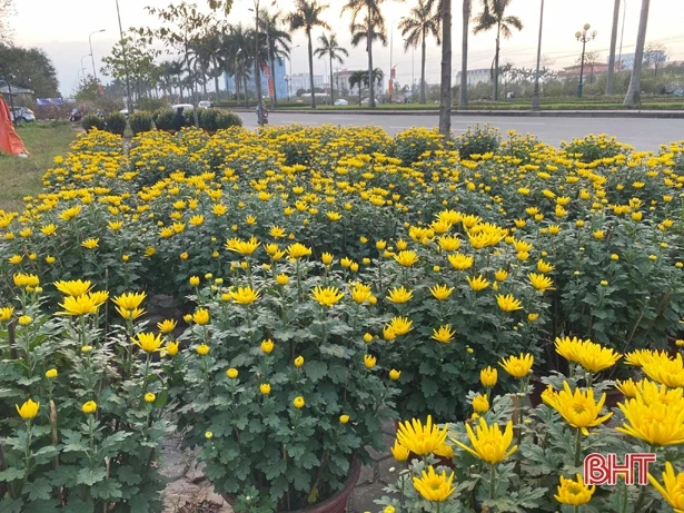 Nông dân làng ven đô TP Hà Tĩnh “đưa xuân” xuống phố