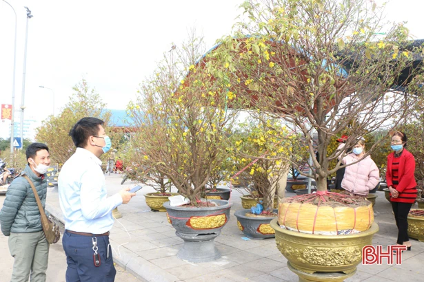 TP Hà Tĩnh: Nỗ lực đảm bảo đô thị trật tự, phố phường ngăn nắp