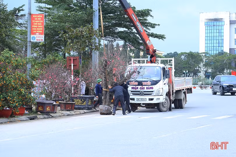 Nghề “chở tết về nhà” tại Hà Tĩnh kiếm tiền triệu mỗi ngày