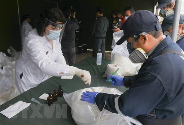 Peru thu giữ gần nửa tấn cocaine giấu trong container chở cá đông lạnh
