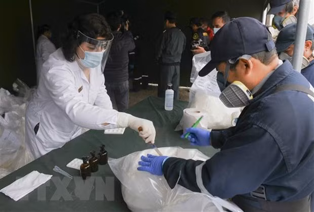 Peru thu giữ gần nửa tấn cocaine giấu trong container chở cá đông lạnh