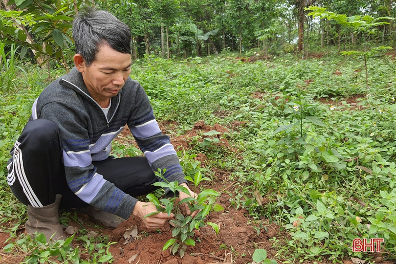 Sức mạnh lòng dân đưa Kỳ Anh tiến nhanh đến huyện nông thôn mới ảnh 2 Sức mạnh lòng dân đưa Kỳ Anh tiến nhanh đến huyện nông thôn mới