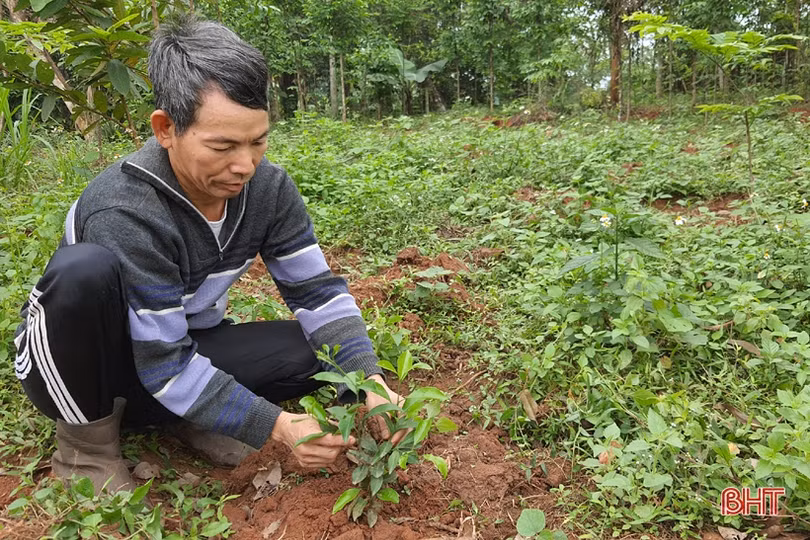 Sức mạnh lòng dân đưa Kỳ Anh tiến nhanh đến huyện nông thôn mới ảnh 2 Sức mạnh lòng dân đưa Kỳ Anh tiến nhanh đến huyện nông thôn mới