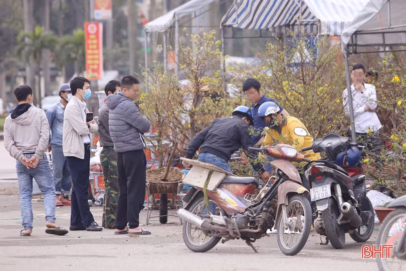 Đi “chợ” cây cảnh, nhiều người dân Hà Tĩnh vẫn không đeo khẩu trang