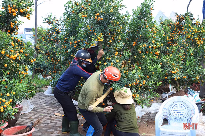 Nghề “chở tết về nhà” tại Hà Tĩnh kiếm tiền triệu mỗi ngày