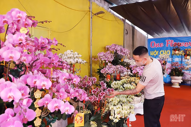 Muôn kiểu hoa lạ “đổ bộ” thị trường Hà Tĩnh