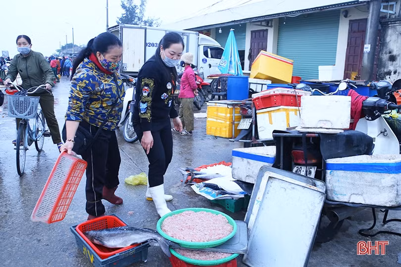 Những chuyến tàu cuối năm cập cảng Cửa Sót đầy ắp hải sản