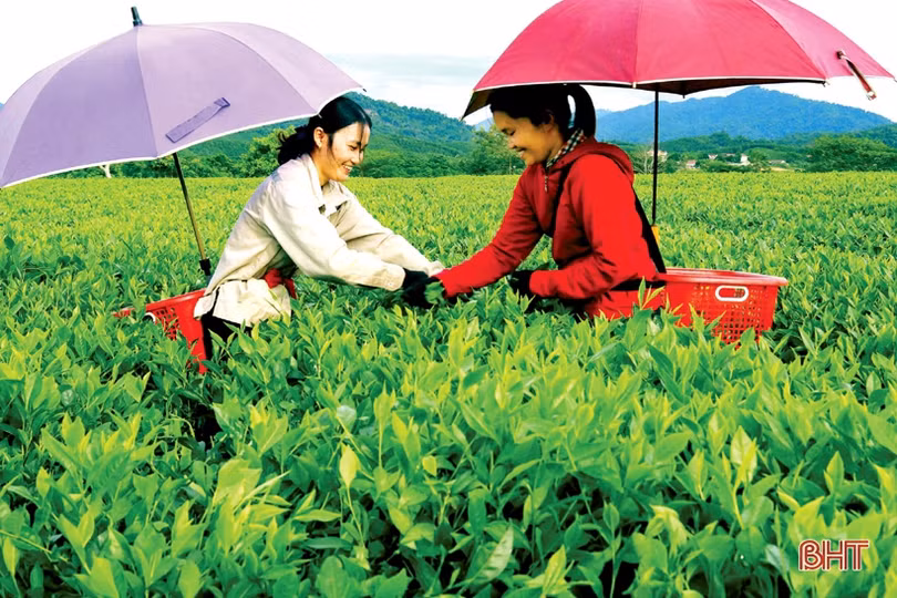 Hương Sơn non nước hữu tình